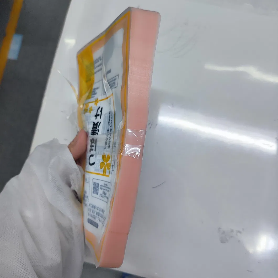 Aluminiumfolie wiederverschließbarer Boden Gusset Kunststoff-Haustierfutterbeutel für Katzen und Hunde 13